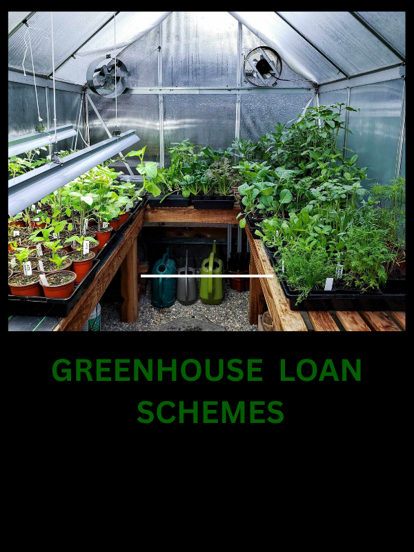 Modern Greenhouse